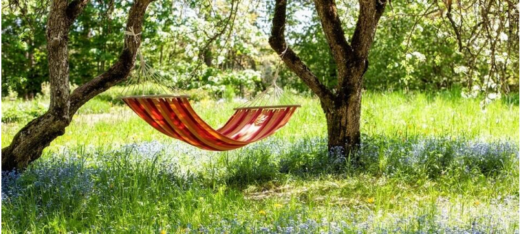 Grandview Resort Main View