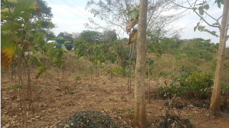 Luxury Hotel Experience